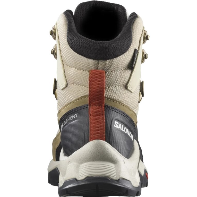 Beige / Olive / Black Salomon Quest Element GTX Women's Hiking Boots | IE BF9085